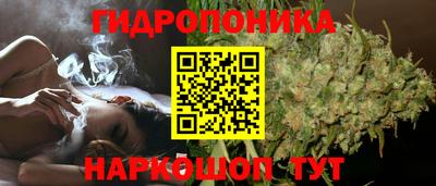 шишки Усть-Джегута