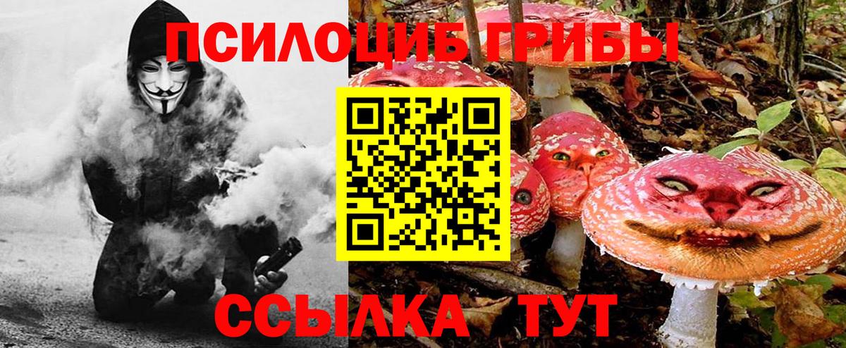 Галлюциногенные грибы Psilocybe  Вход с VPN  Бахчисарай 
